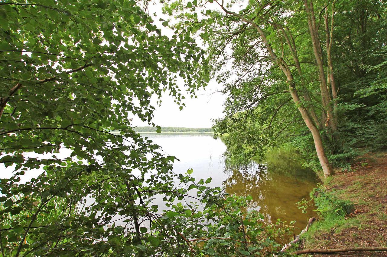 Ferienwohnung Im Forsthaus Am See Schwarz Exterior photo